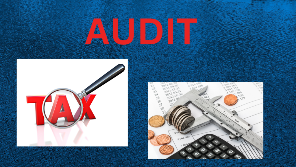 IRS Announces Audit Priorities for Fiscal Year 2024 Todd S. Unger